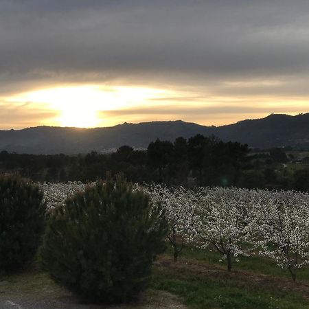 Willa Quinta Da Porta - Solar De Vale De Prazeres Zewnętrze zdjęcie
