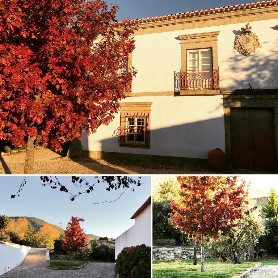 Willa Quinta Da Porta - Solar De Vale De Prazeres Zewnętrze zdjęcie