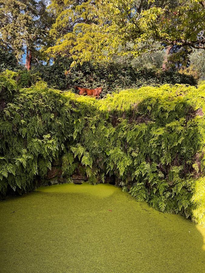 Willa Quinta Da Porta - Solar De Vale De Prazeres Zewnętrze zdjęcie