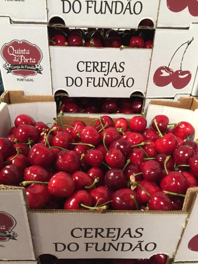 Willa Quinta Da Porta - Solar De Vale De Prazeres Zewnętrze zdjęcie
