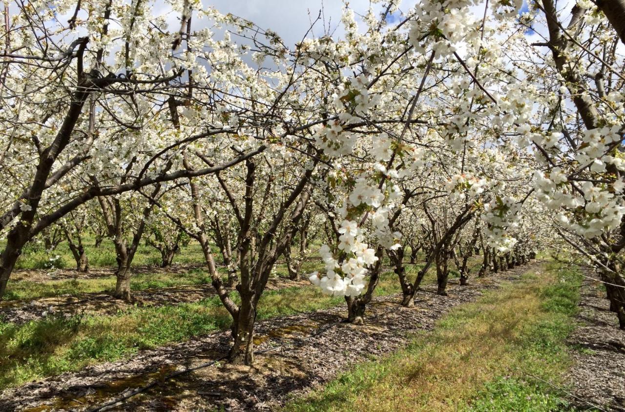 Willa Quinta Da Porta - Solar De Vale De Prazeres Zewnętrze zdjęcie